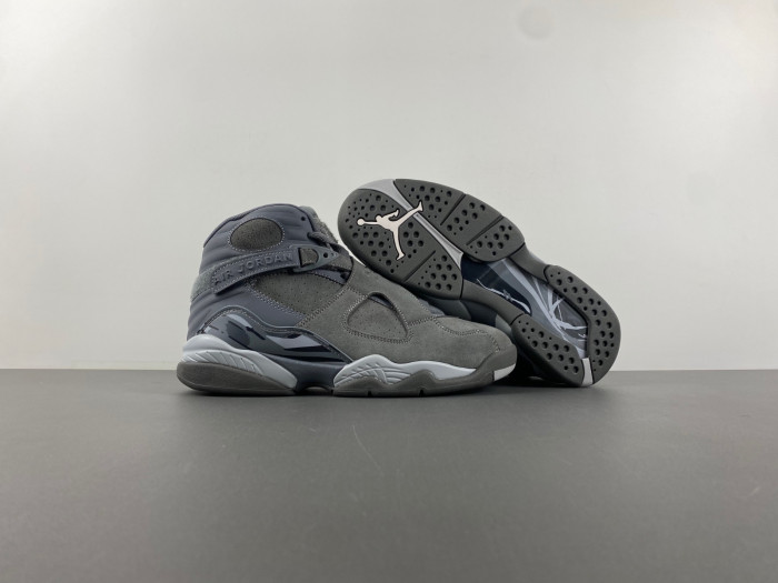 TB Jordan 8 Retro Cool Grey 305381-014