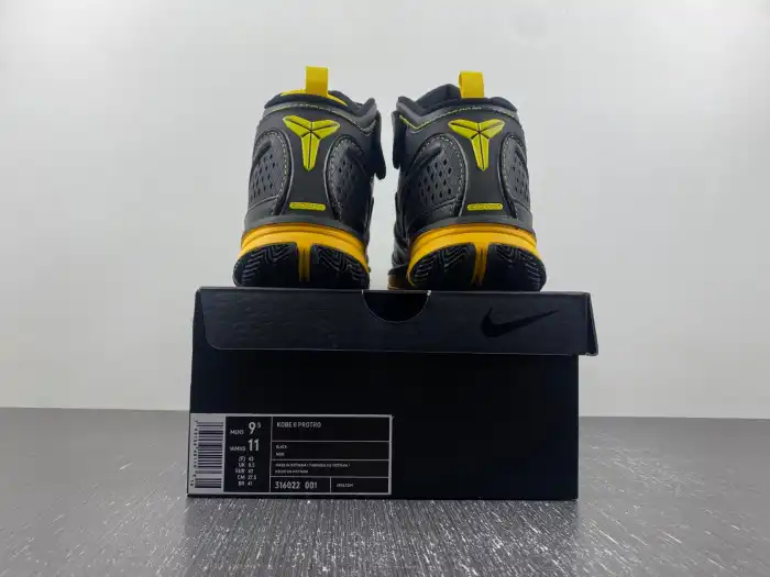 Reps LY Nike Zoom Kobe 2 Carpe Diem 316022-001