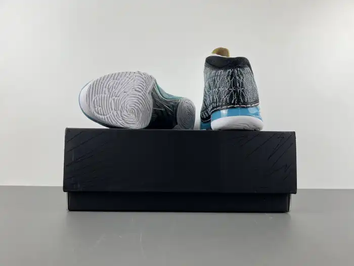 Rep LY Jordan 23 UNC 318376-041