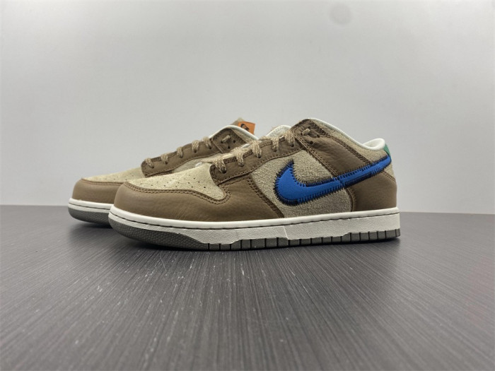 TB size? x Nike Dunk Low DO6712-200