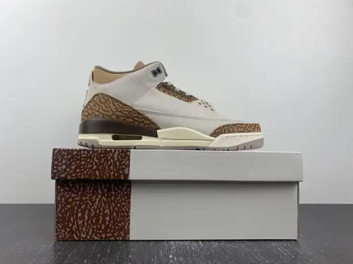 Cheap Air Jordan 3 Palomino CT8532-102