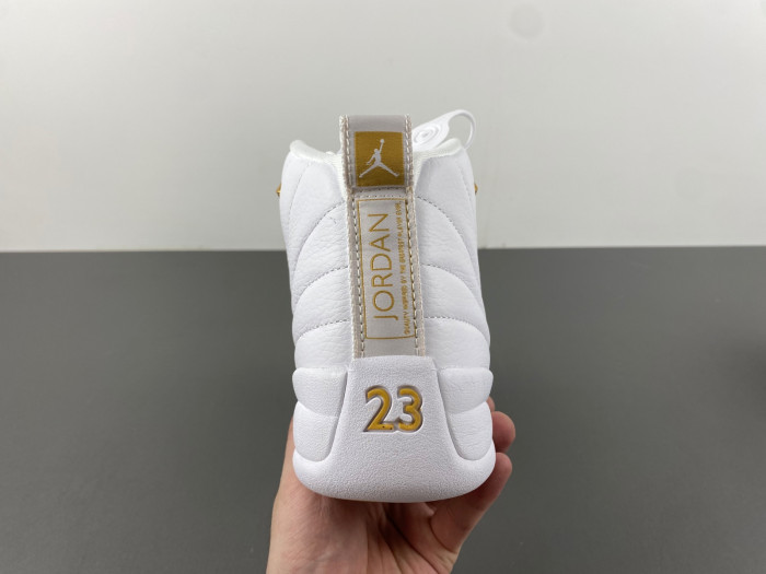 TB Air Jordan 12 WMNS Phantom FD9101-007