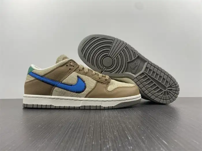 Affordable size? x Nike Dunk Low DO6712-200