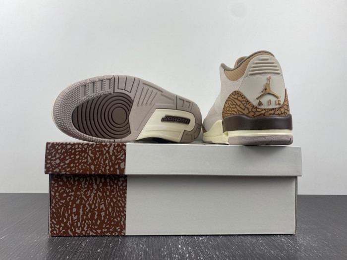 KICKWHO Air Jordan 3 Palomino CT8532-102