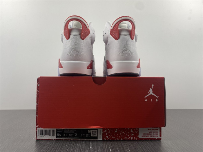 TB Jordan 6 Retro Hare CT8529-162