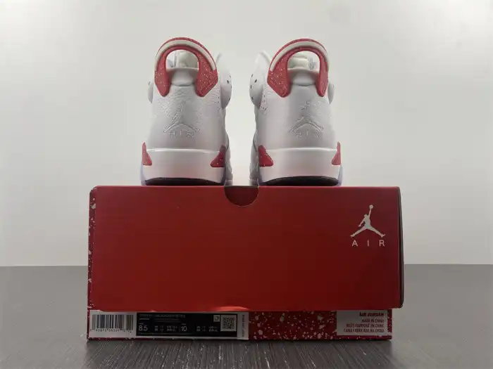 Reps TBK Jordan 6 Retro Hare CT8529-162