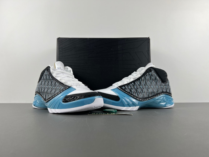 TB Jordan 23 UNC 318376-041