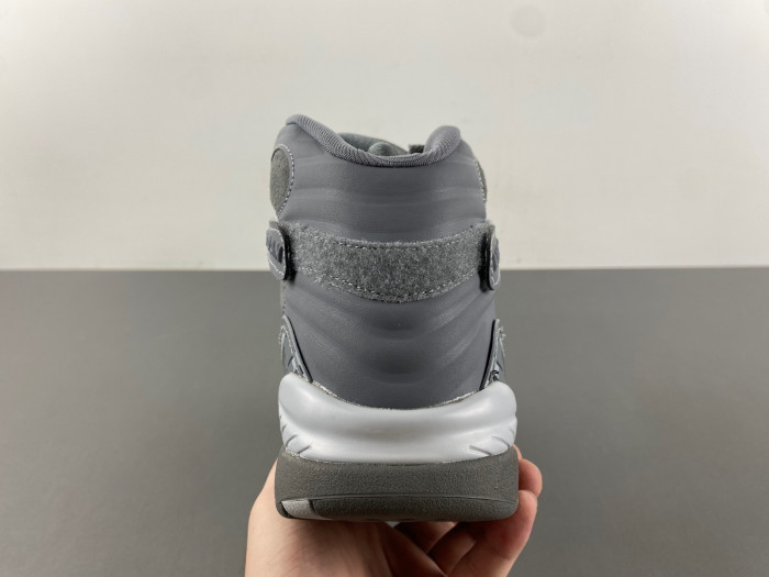 TB Jordan 8 Retro Cool Grey 305381-014