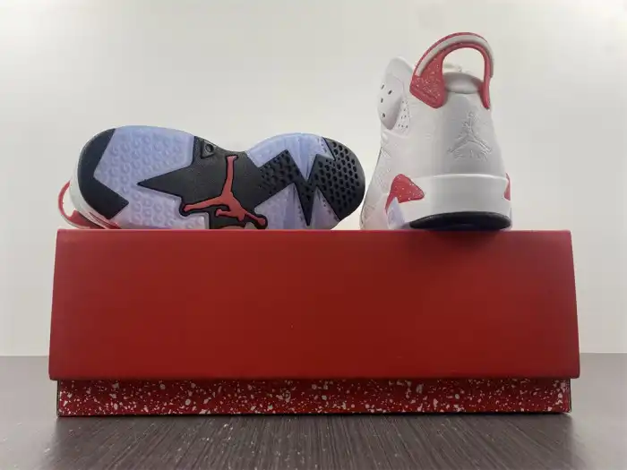 Reps TBK Jordan 6 Retro Hare CT8529-162