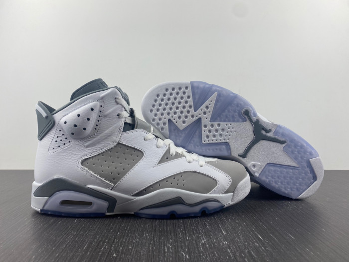 TB Air Jordan 6 Cool Grey CT8529-100