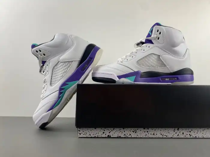 Boostmaster lin Air Jordan 5 Retro Grape (2013) 136027-108