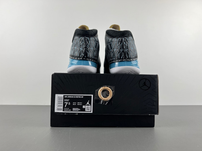 TB Jordan 23 UNC 318376-041