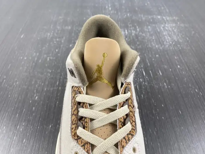 Reps HYPE Air Jordan 3 Palomino CT8532-102