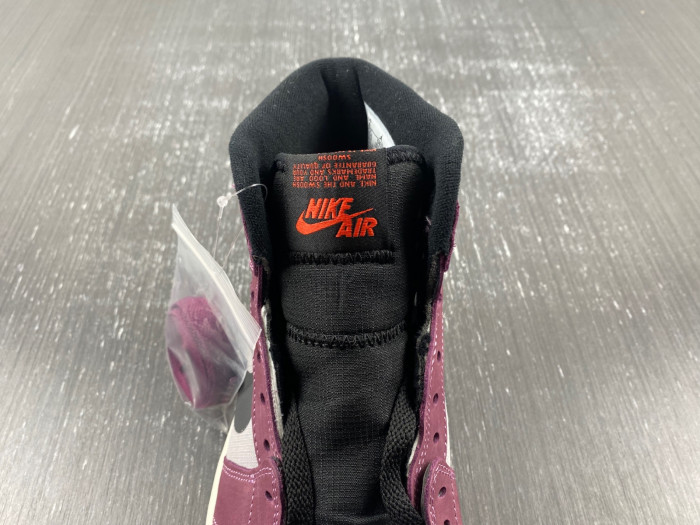 TB Air Jordan 1 Element Gore-Tex DB2889-500