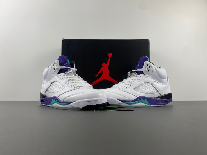 TB Air Jordan 5 Retro Grape (2013) 136027-108