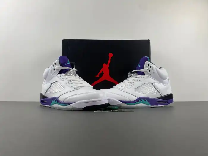 Boostmaster lin Air Jordan 5 Retro Grape (2013) 136027-108