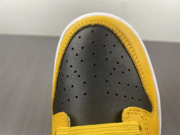 Cheap LY Nike Dunk Low Goldenrod (2021) DD1391-004