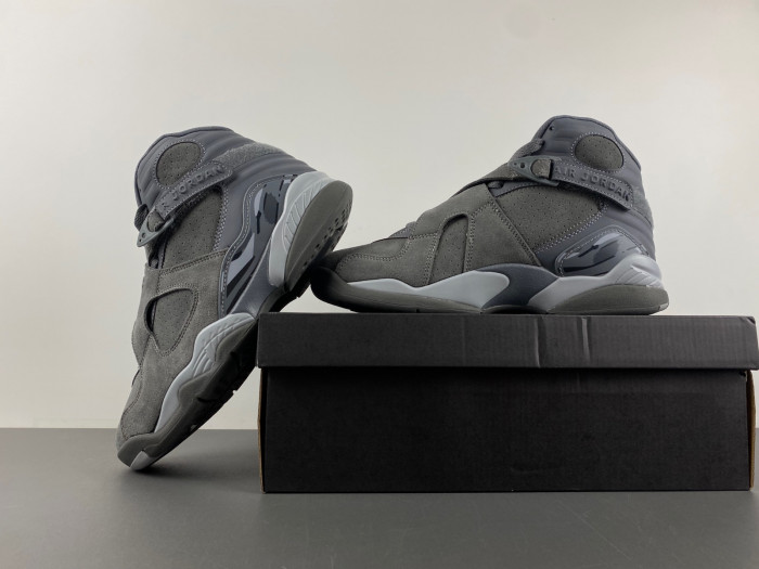 TB Jordan 8 Retro Cool Grey 305381-014