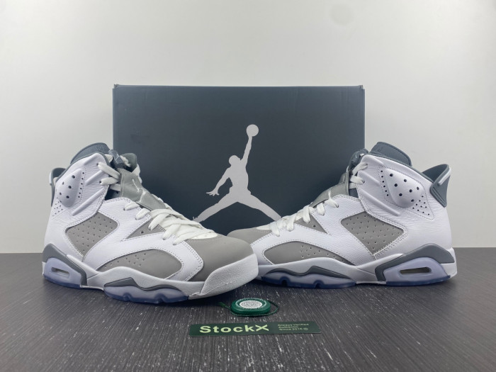 TB Air Jordan 6 Cool Grey CT8529-100