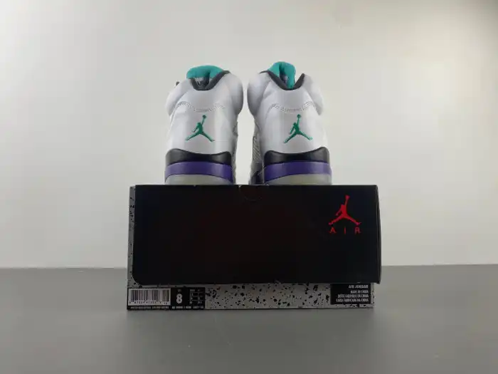 Boostmaster lin Air Jordan 5 Retro Grape (2013) 136027-108