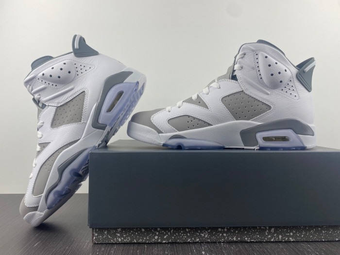 TB Air Jordan 6 Cool Grey CT8529-100