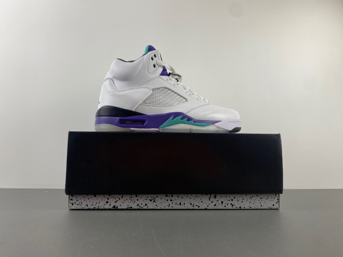 TB Air Jordan 5 Retro Grape (2013) 136027-108