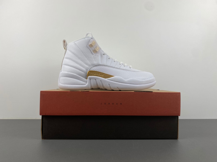 TB Air Jordan 12 WMNS Phantom FD9101-007