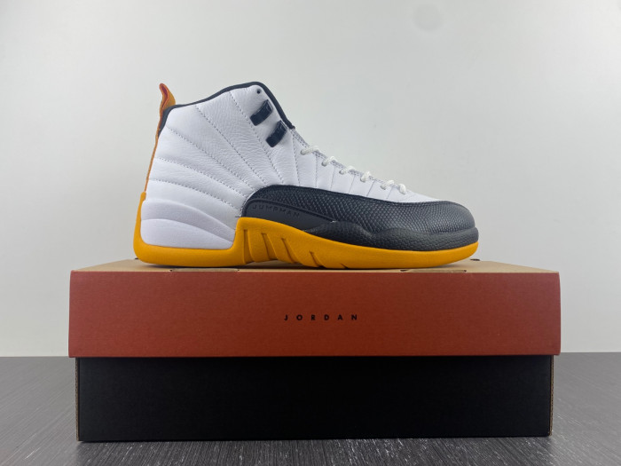 TB Air Jordan 12 25 Years in China DR8887-100