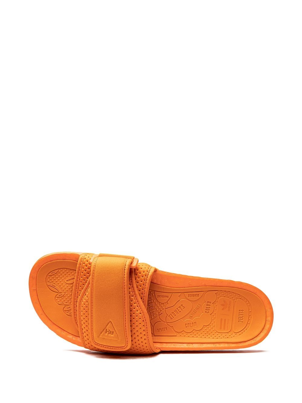 TB adidas x Pharrell Williams Chancletas Hu slides 