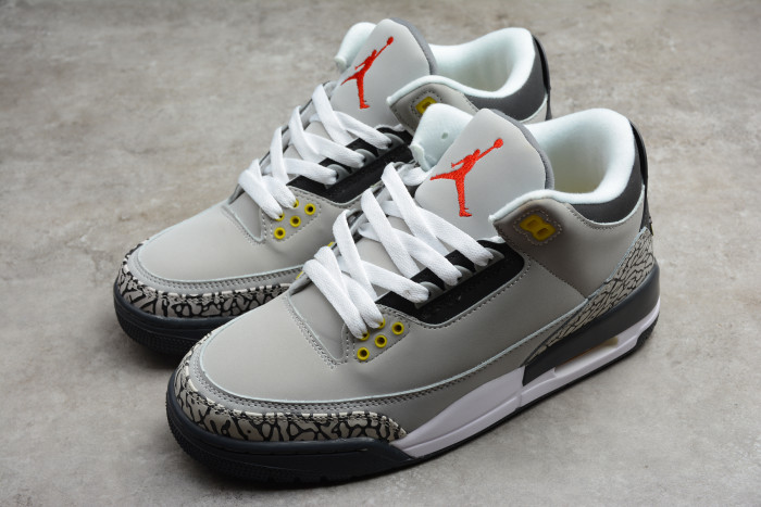 TB Air Jordan 3 Retro Cool Grey (2021) CT8532-012