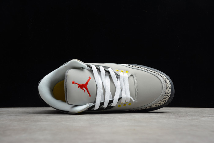 TB Air Jordan 3 Retro Cool Grey (2021) CT8532-012