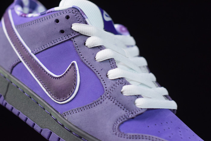 KICKWHO NIKE SB DUNK LOW CONCEPTS PURPLE LOBSTER BV1310-555