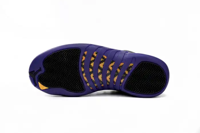 Affordable Air Jordan 12 Retro Field Purple CT8013-057