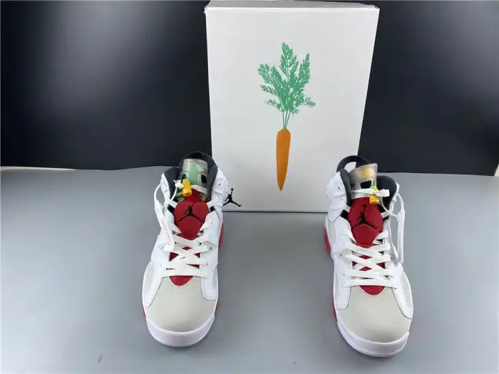 Cheap Air Jordan 6 Hare CT8529-062