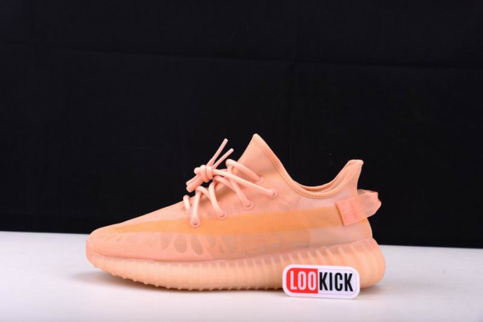 TB Adidas Yeezy 350 Boost V2 