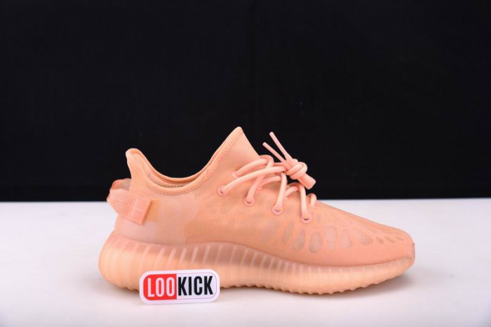 TB Adidas Yeezy 350 Boost V2 "Mono Clay" GW2870