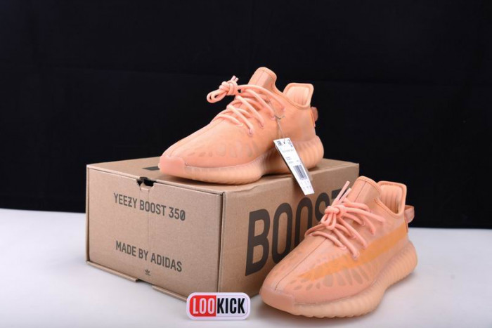 TB Adidas Yeezy 350 Boost V2 "Mono Clay" GW2870