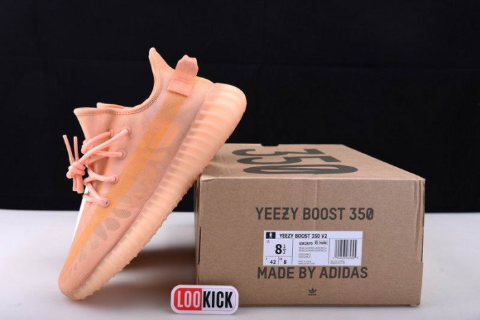 TB Adidas Yeezy 350 Boost V2 "Mono Clay" GW2870