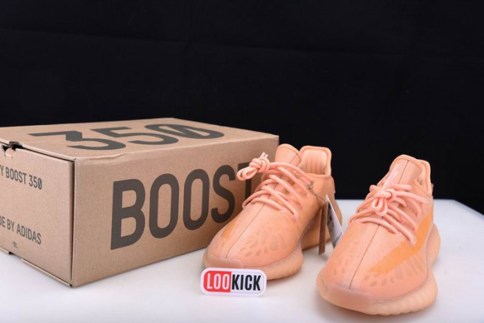 TB Adidas Yeezy 350 Boost V2 "Mono Clay" GW2870