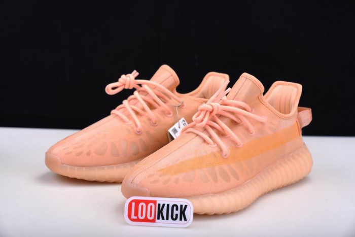 TB Adidas Yeezy 350 Boost V2 "Mono Clay" GW2870