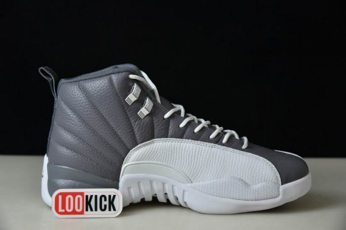 TB AIR JORDAN 12 STEALTH CT8025-610