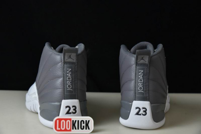 TB AIR JORDAN 12 STEALTH CT8025-610