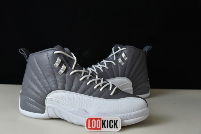 TB AIR JORDAN 12 STEALTH CT8025-610