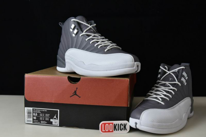 TB AIR JORDAN 12 STEALTH CT8025-610