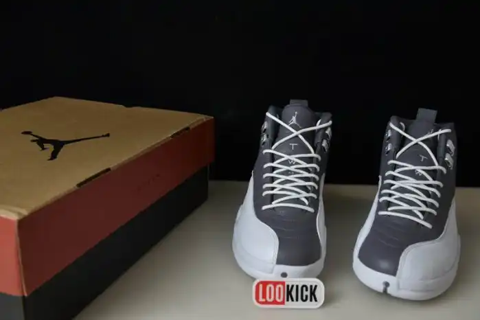 Affordable AIR JORDAN 12 STEALTH CT8025-610