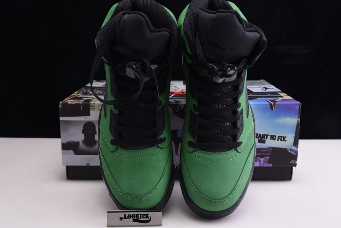 TB Air Jordan 5 SE Oregon Ducks CK6631-307