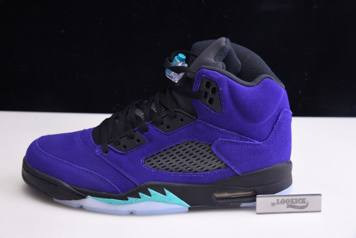 TB Air Jordan 5 Retro Alternate Grape 136027-500