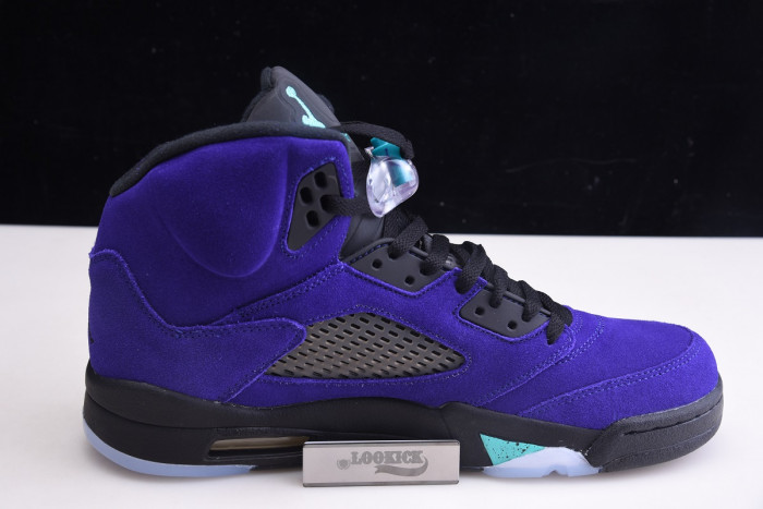 TB Air Jordan 5 Retro Alternate Grape 136027-500