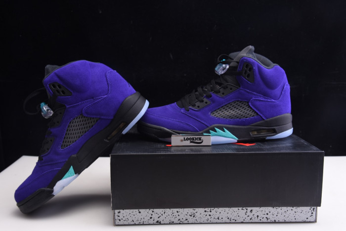 TB Air Jordan 5 Retro Alternate Grape 136027-500