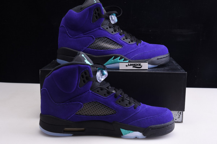 TB Air Jordan 5 Retro Alternate Grape 136027-500